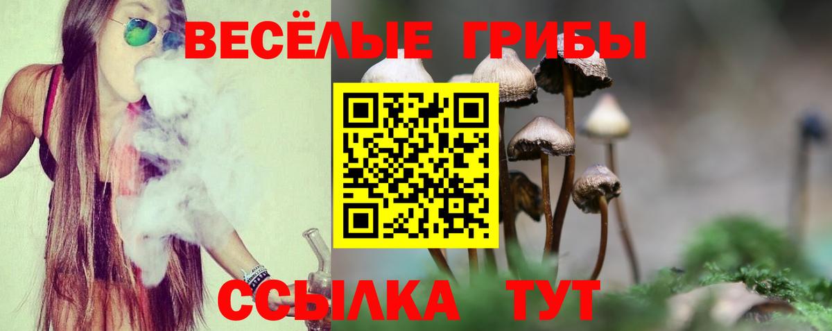 Псилоцибиновые грибы Cubensis Амурск